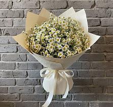 Букет цветов из:  Ромашки в Боровский Тюменская область