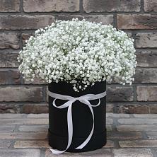 Цветочная композиция из Гипсофила в шляпной коробке в Боровский Тюменская область