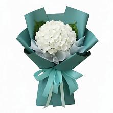 Букет цветов из:  Гортензия #REPLACE_PRED# Боровский Тюменская область